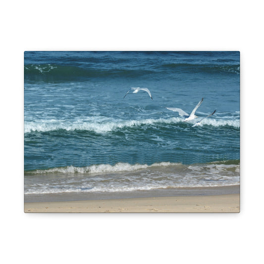 Birds Flying Over the Ocean Matte Canvas Wall Art